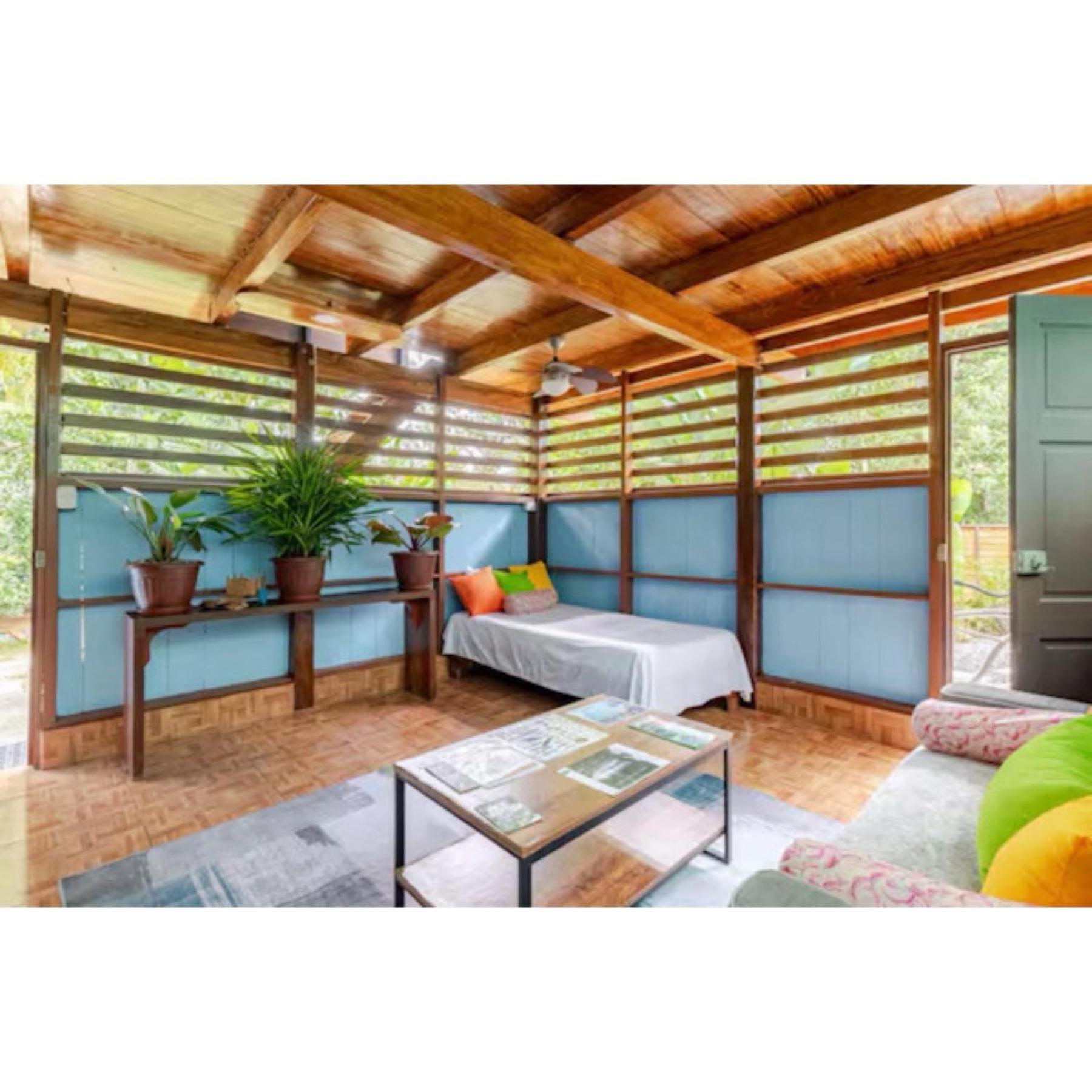 Casa Osa Lion Puerto Jiménez