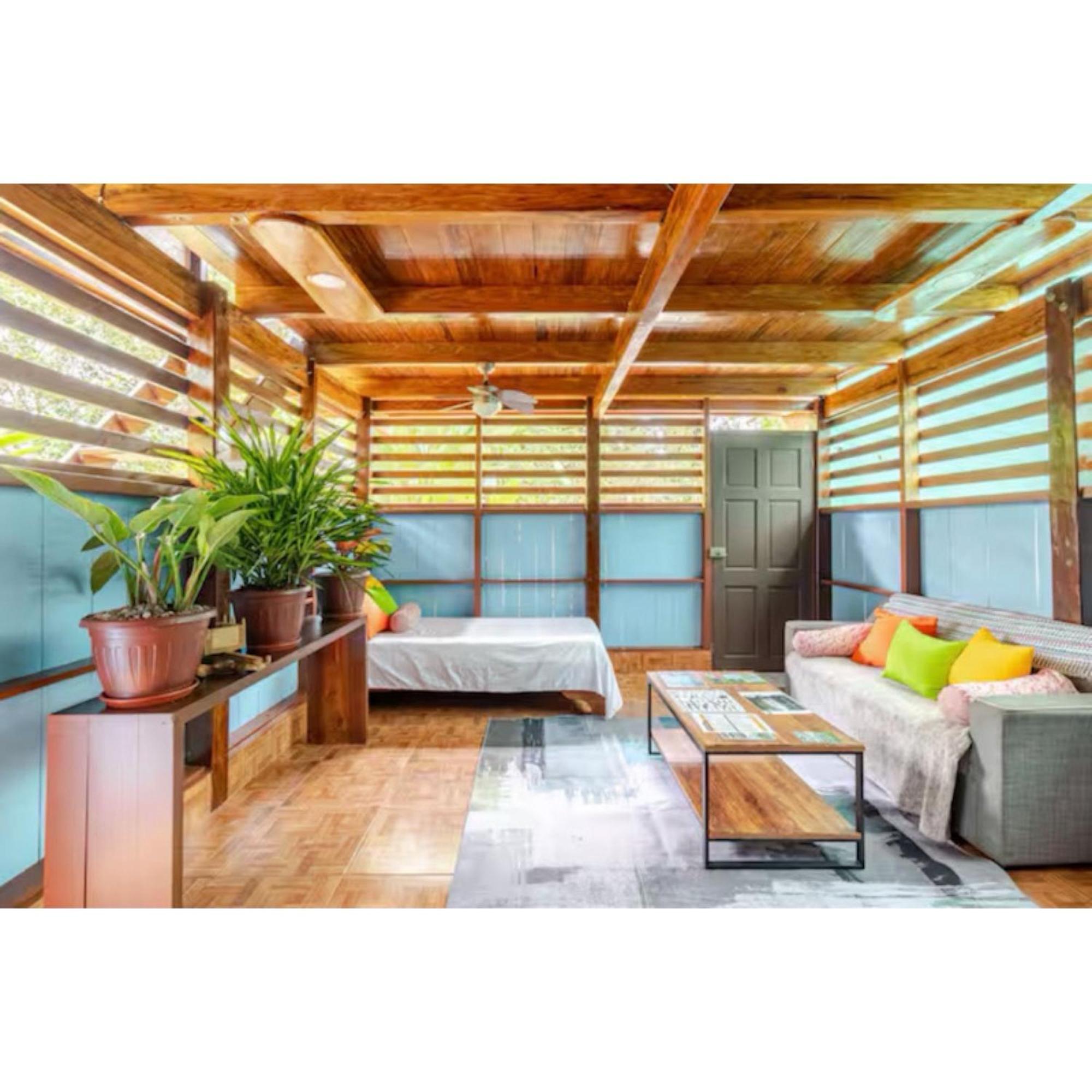 Casa Osa Lion * Puerto Jiménez
